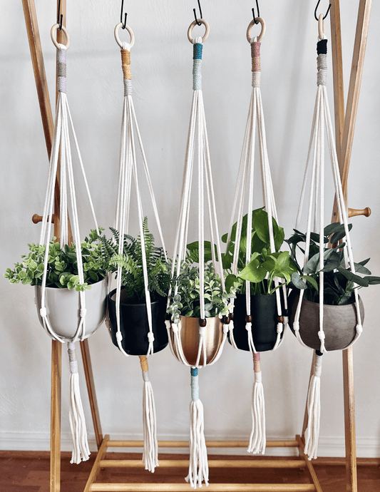 Easy Macrame Plant Hanger Pattern | Beginner | Audrey