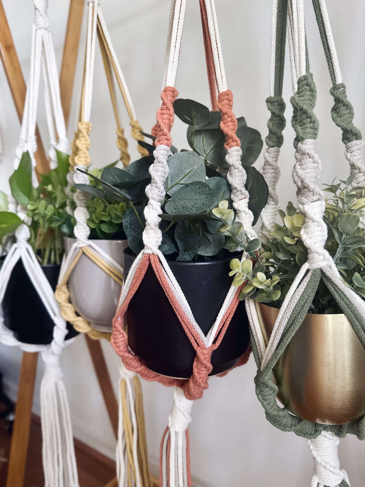 Savannah Spiral Macrame Plant Hanger