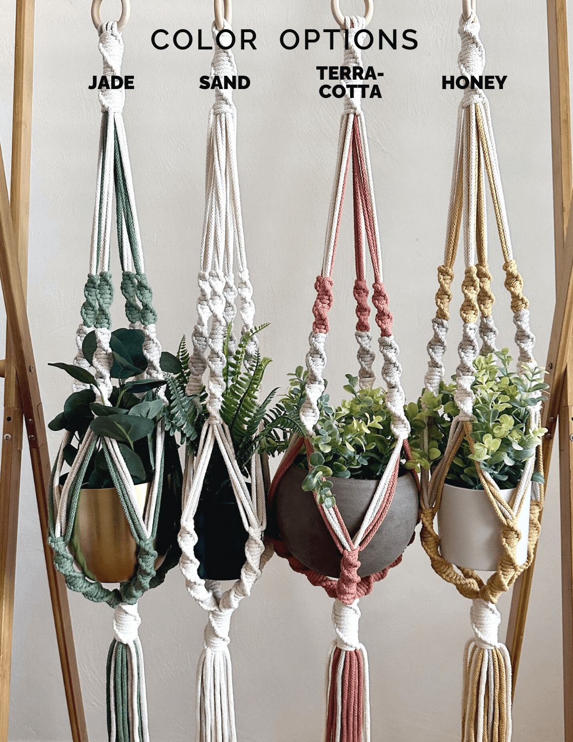 Savannah Spiral Macrame Plant Hanger