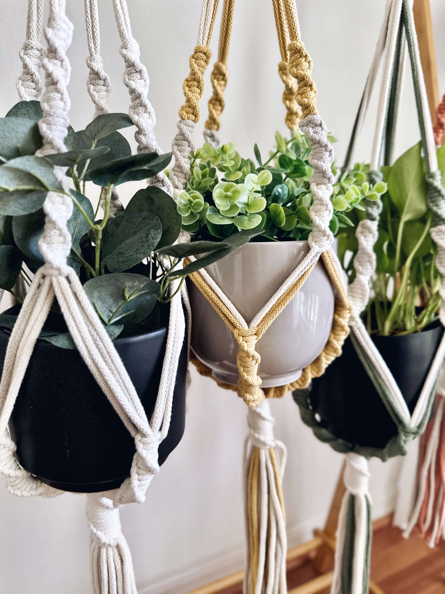 Savannah Spiral Macrame Plant Hanger
