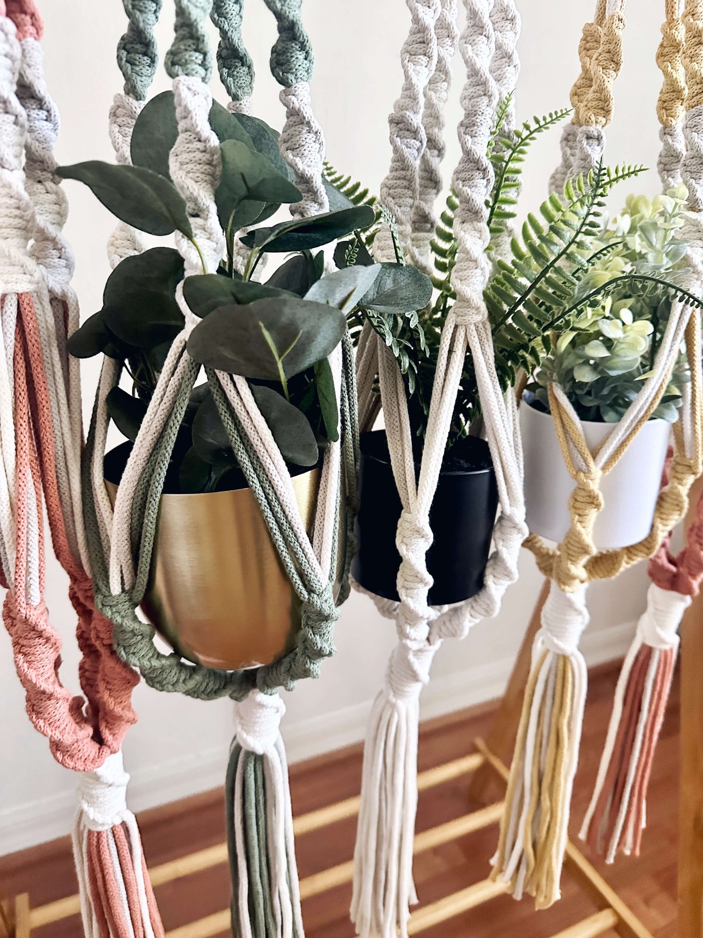 Savannah Spiral Macrame Plant Hanger