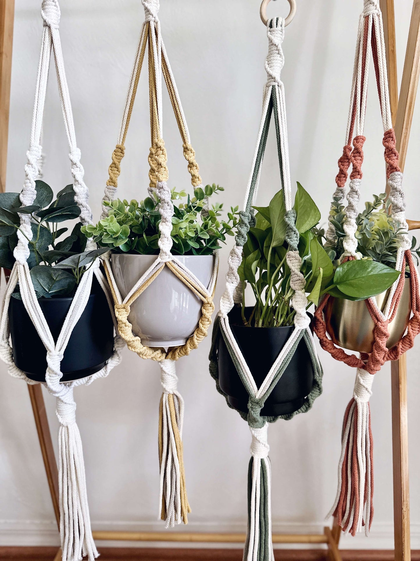 Savannah Spiral Macrame Plant Hanger
