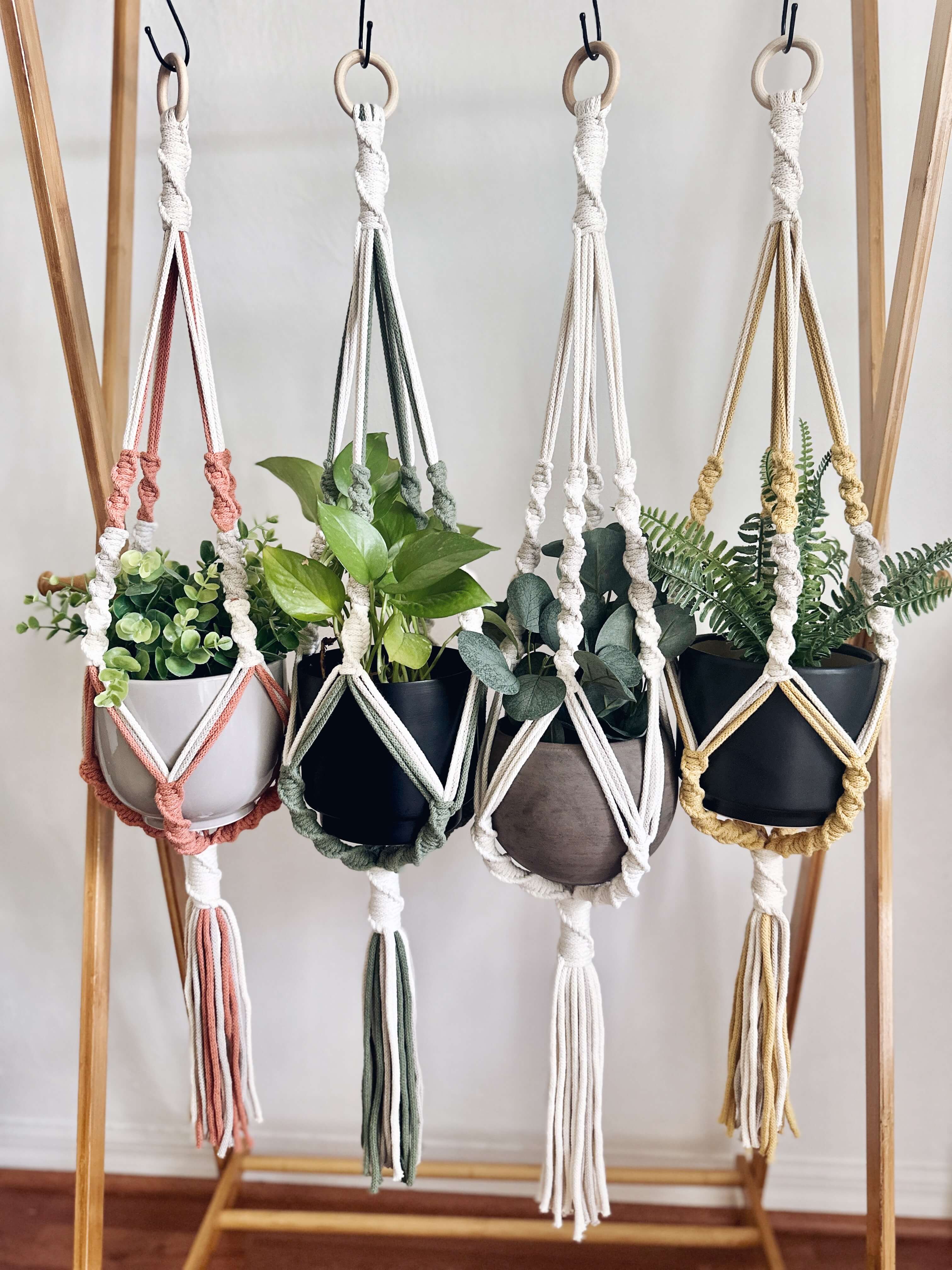 spiral knot macrame plant hanger Savannah Spiral Macrame Plant Hanger
