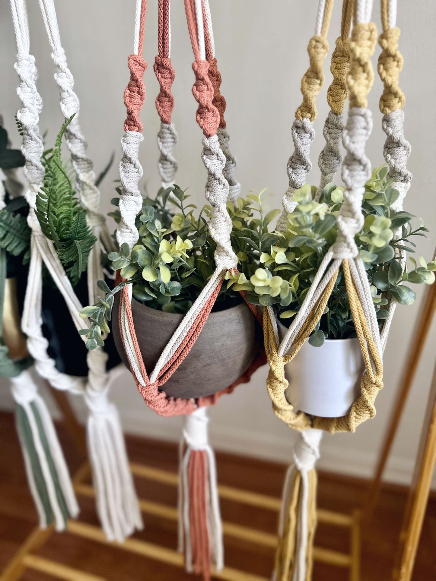 Savannah Spiral Macrame Plant Hanger