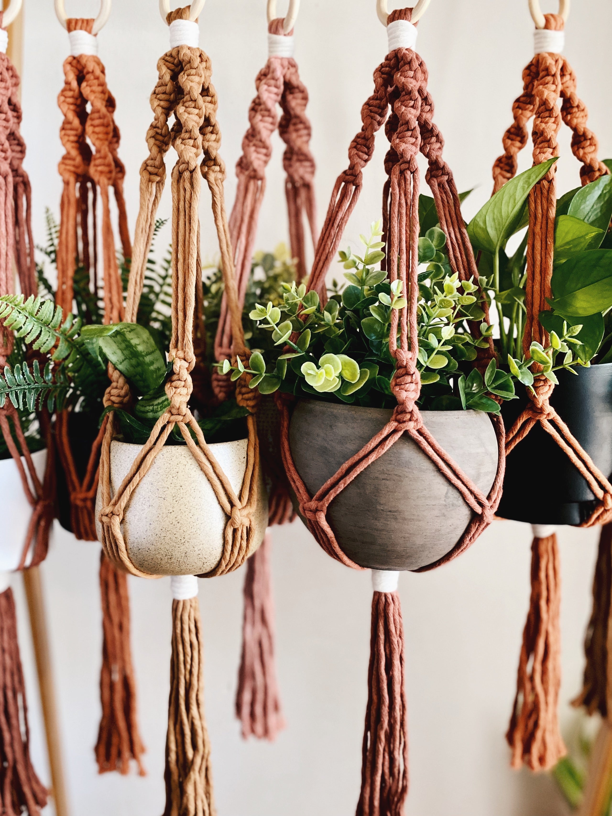 Double Macrame Plant Hanger (Large) – MossHound Designs