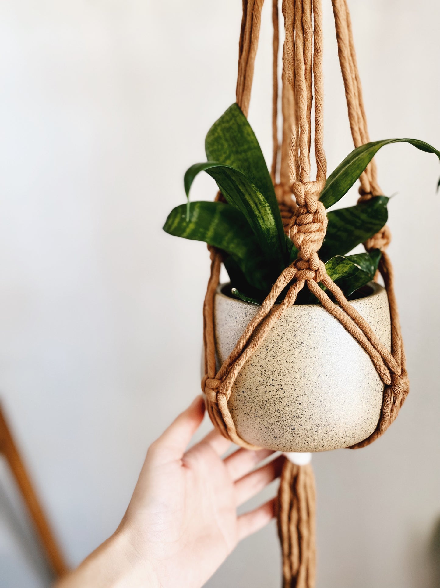 Layla Classic Macrame Plant Hanger