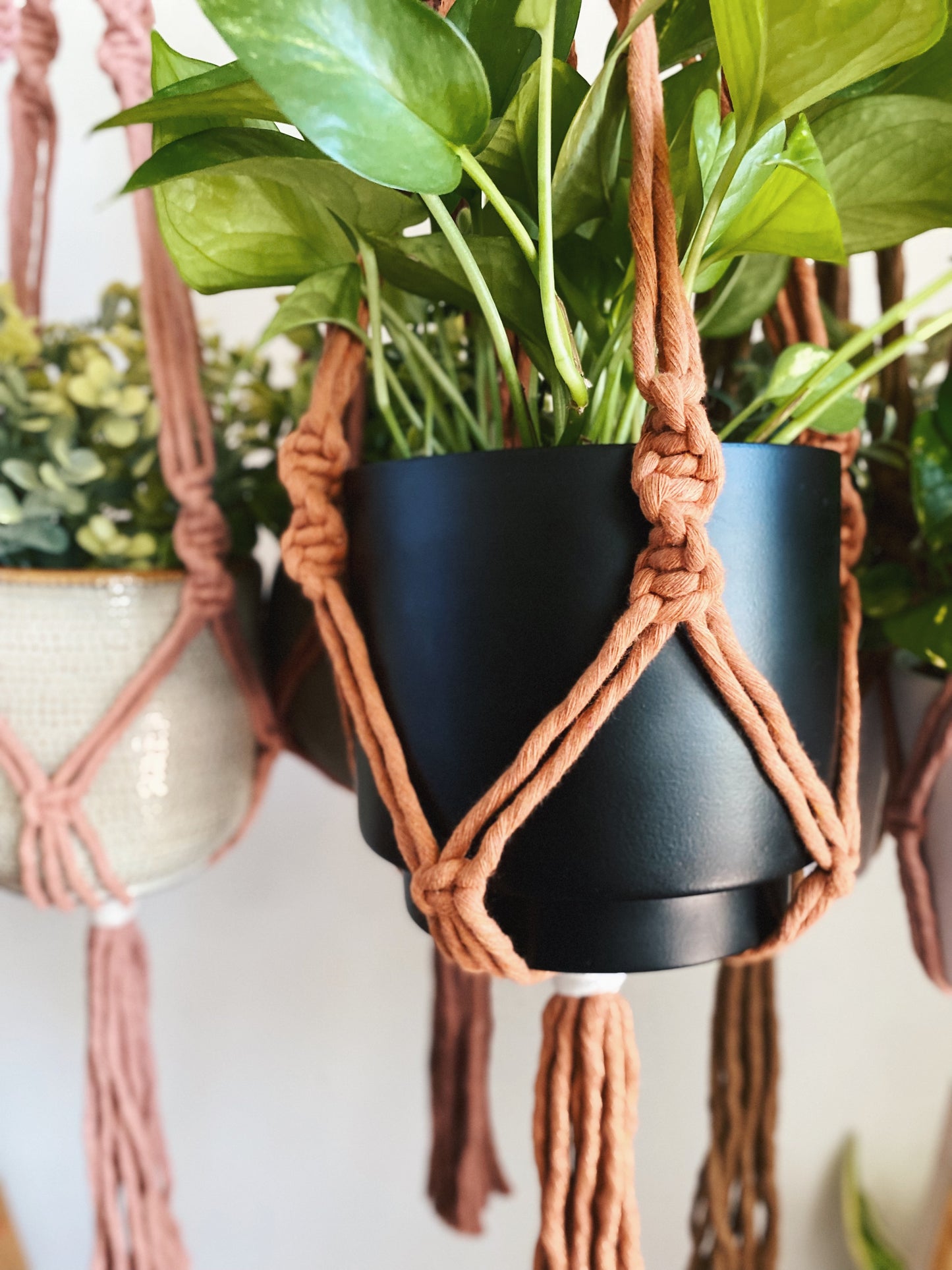 Layla Classic Macrame Plant Hanger