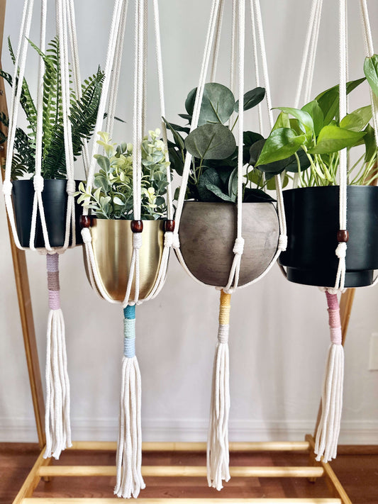 DIY Macrame Kit | Colorblock Plant Hanger | Audrey