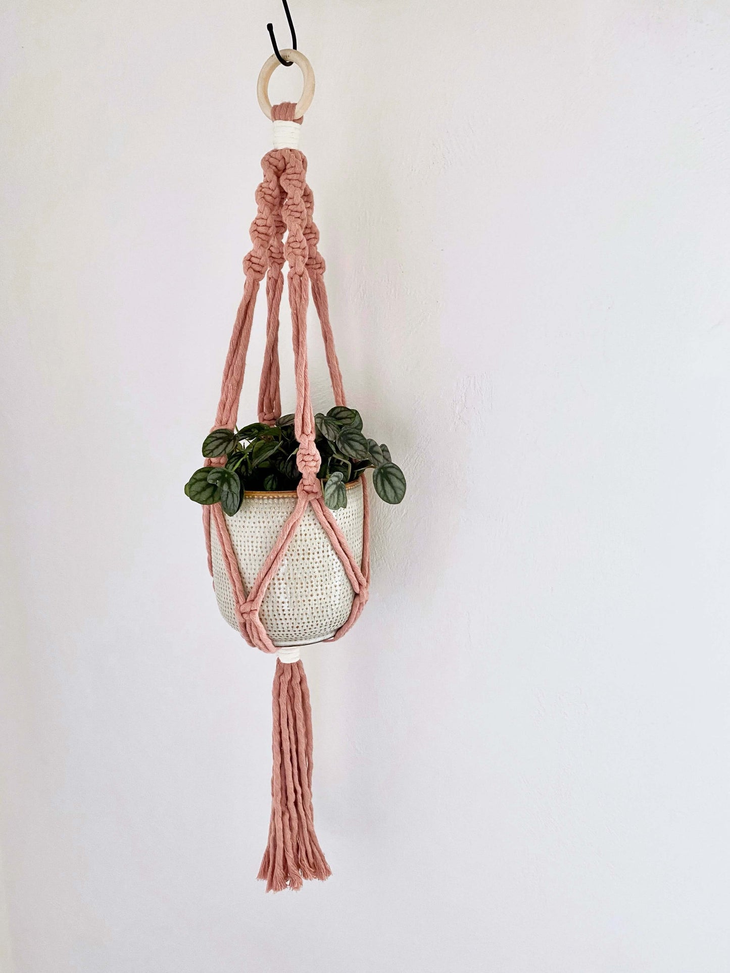 Macrame Plant Hanger Workshop