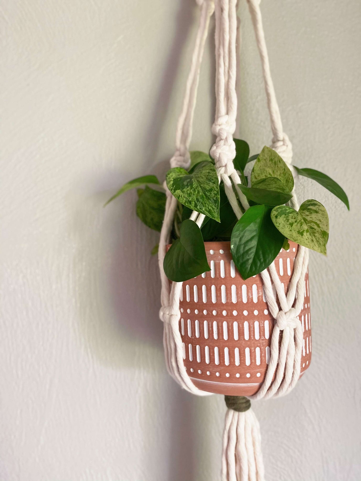 Macrame Plant Hanger Workshop