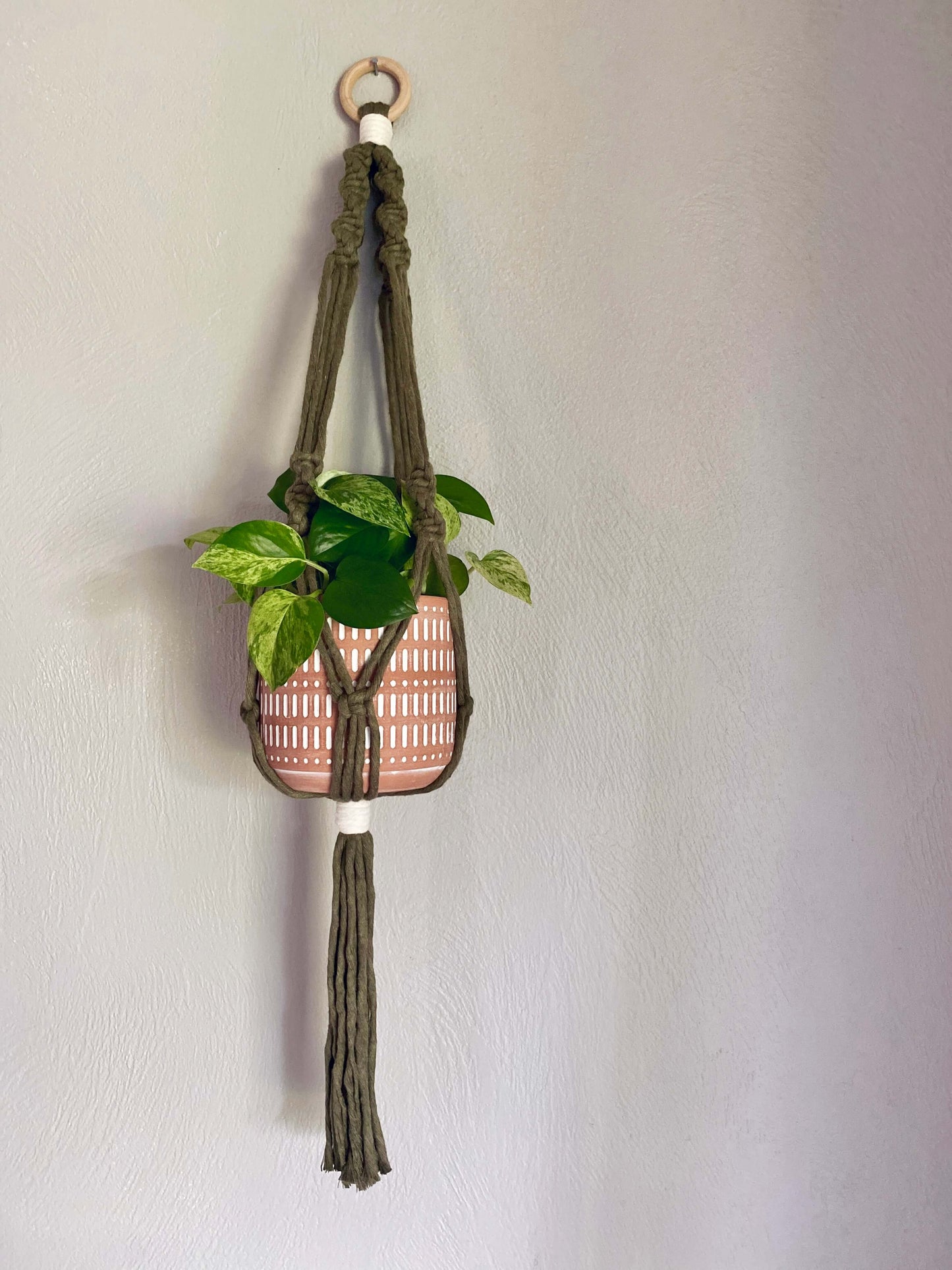 Macrame Plant Hanger Workshop